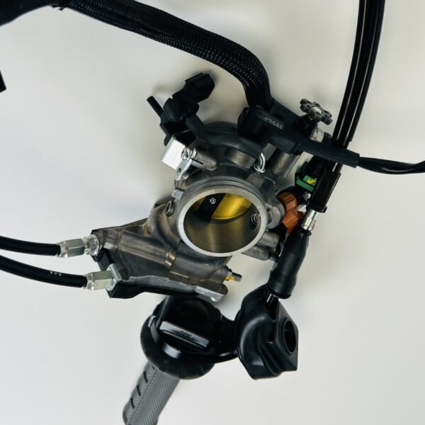 Papillon 450 KXF 2024 - 2025 – Image 3