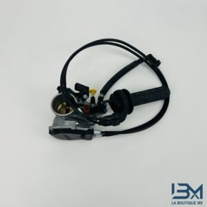 Papillon 450 CRF 2023 - 2024