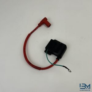 CDI + bobine GILERA 50 SMT 2011 - 2017