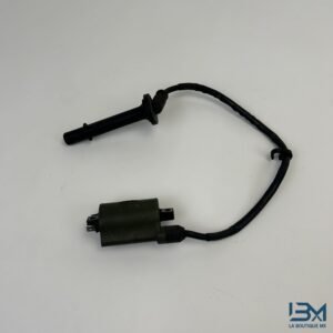 Bobine arrière gauche 800 VFR 1998 - 2001