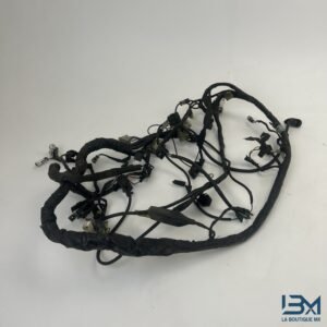 Faisceau électrique TRIUMPH 1200 TROPHY 1996 - 2003