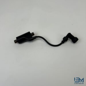 Bobine 500 GSE 1989 - 2007