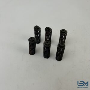 Ressorts embrayage xj 900 s diversion 1995 - 2002
