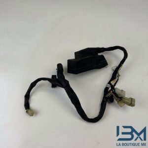 Faisceau 1300 FJR 2003 - 2005