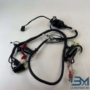 Faisceau TNT MOTOR 50 BOSTON 2018 - 2025